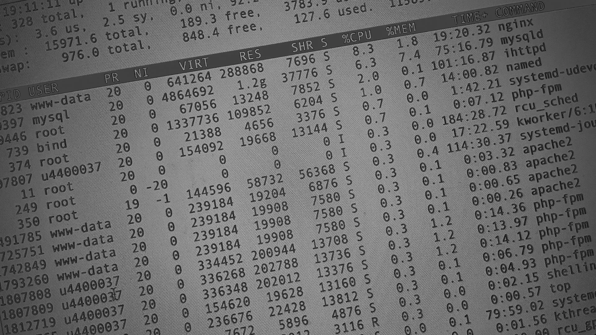 Настройка сервера в Ставрополе Настройка сервера в Ставрополе