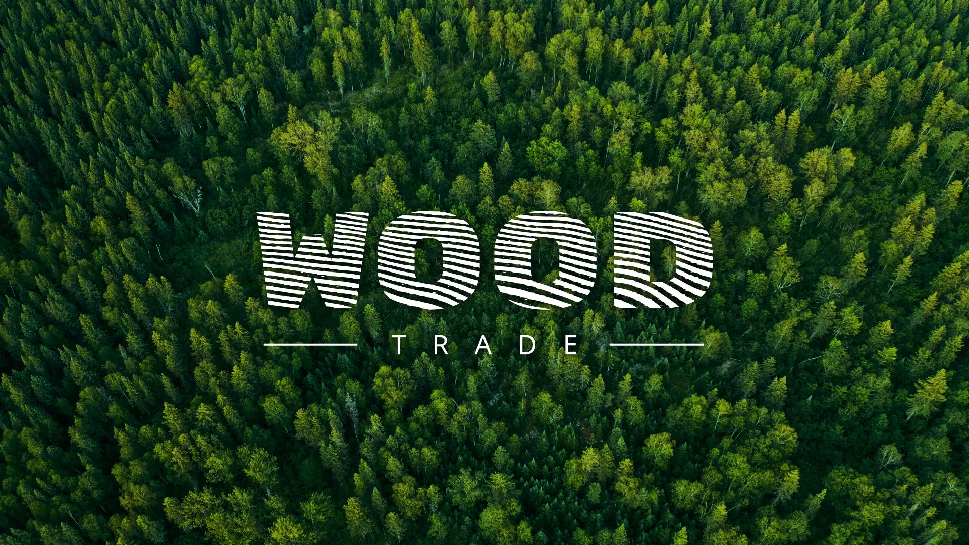 Разработка интернет-магазина компании «Wood Trade» в Ставрополе