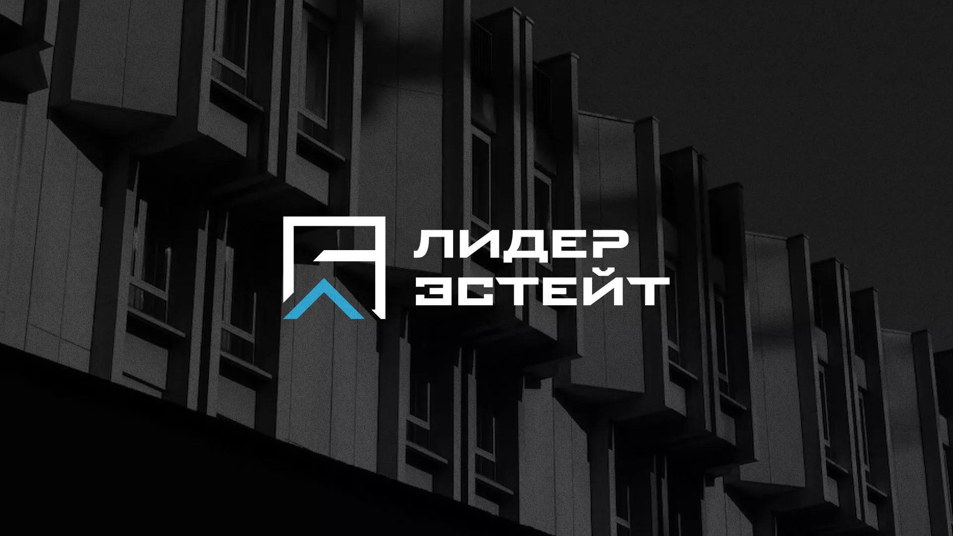 Разработка логотипа агентства недвижимости «Лидер Эстейт» в Ставрополе